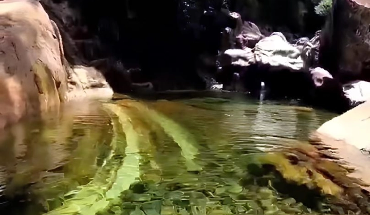 Natureza aguas e verdes